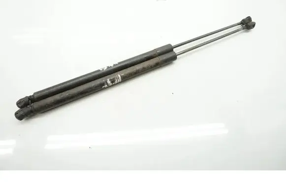 Tailgate/trunk strut/damper