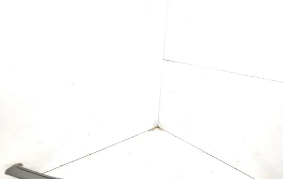 Renault Espace IV Front triangle window/glass 