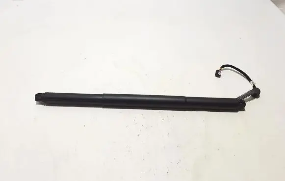 Tailgate strut