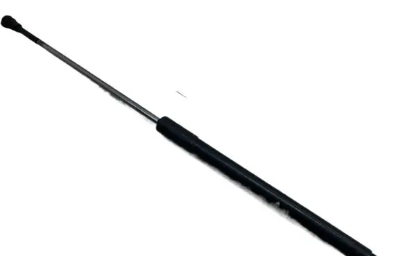 Tailgate strut