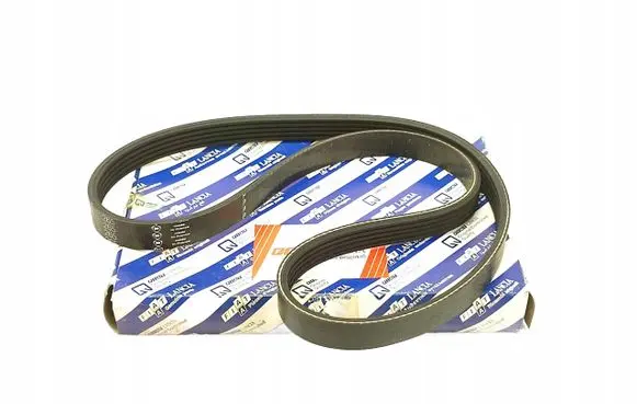 Alfa Romeo Spider 916 Alternator belt 7670173