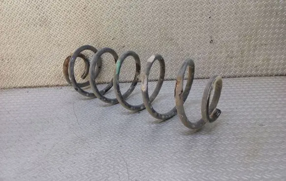 Rear coil spring
