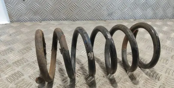 Hyundai Santa Fe Rear coil spring