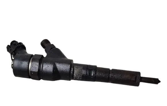 Citroen Berlingo Fuel injector 0445110076 9653594280