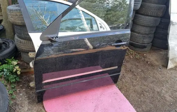 Suzuki Ignis Front door
