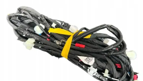 Tesla Model S Other wiring loom 250799202C