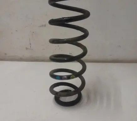 Rear coil spring