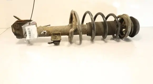 Suzuki SX4 Front shock absorber with coil spring
