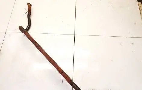Mitsubishi Colt Front anti-roll bar/sway bar
