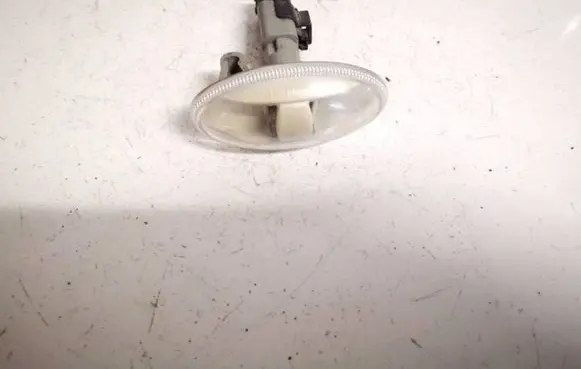 Front fender indicator light