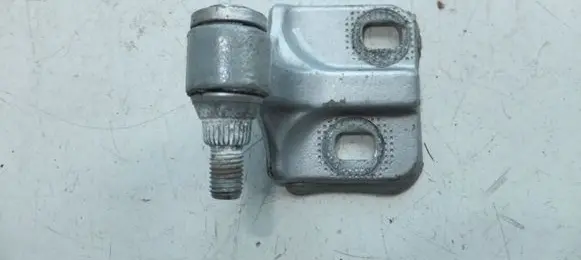 Mercedes-Benz S W220 Rear door lower hinge