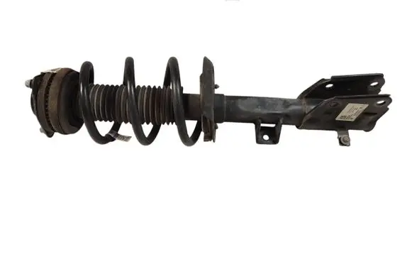 Chrysler Pacifica Front shock absorber with coil spring P68248735AF P68248735 824904012359