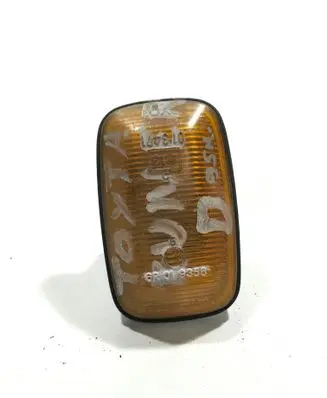 Front fender indicator light