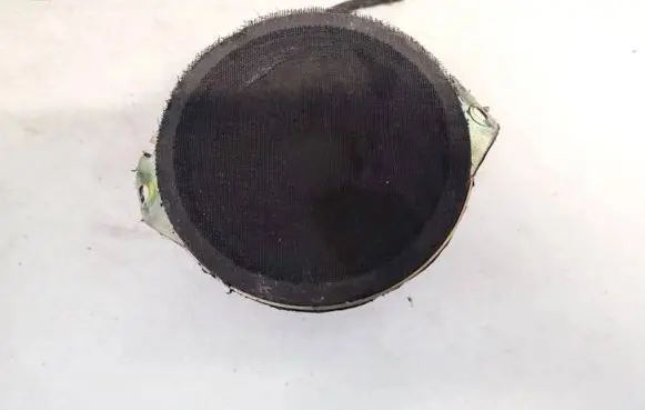 Chrysler 300 - 300C Front door speaker