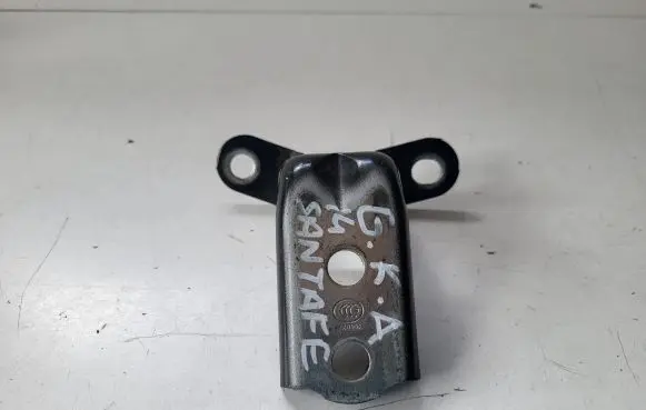Hyundai Santa Fe Rear door lower hinge