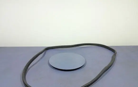 BMW 3 G20 G21 Front door rubber seal 7407373