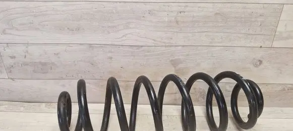 Volkswagen PASSAT B6 Rear coil spring