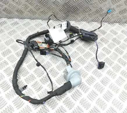BMW 5 G60 G61 Front door wiring loom 5A8BF93