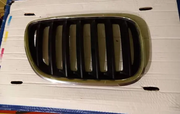 BMW X5 E53 Front grill 51137113738