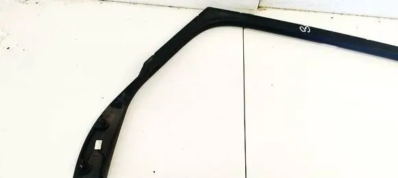 Renault Scenic II - Grand scenic II Rear door glass trim molding 8200167199