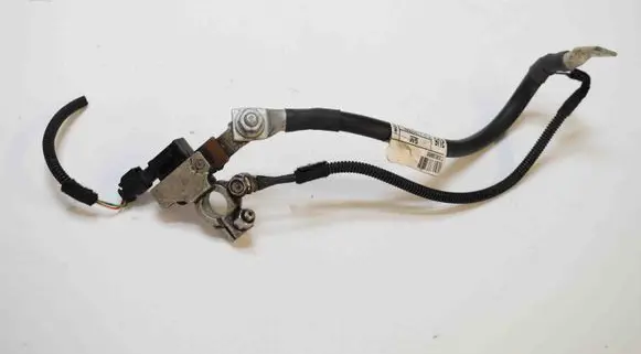 Negative earth cable (battery)