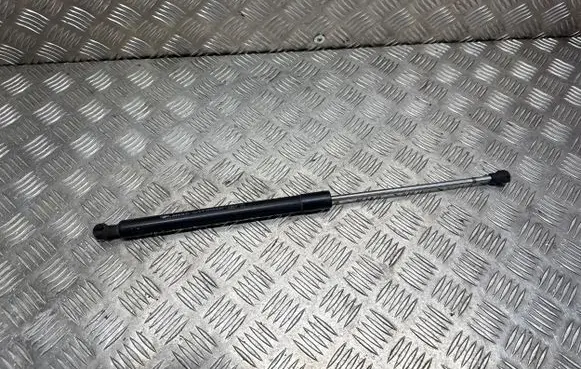 Renault Laguna III Tailgate/trunk strut/damper 844300001R