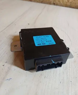 Hyundai Grandeur Other control units/modules 954503L000 61218
