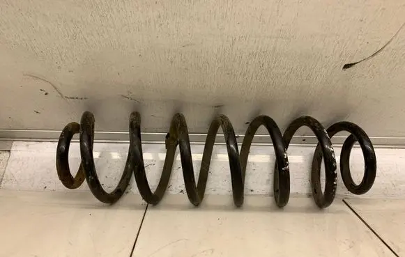 Skoda Roomster (5J) Rear coil spring
