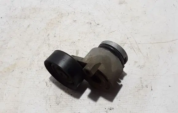 Renault Kangoo II Timing belt/chain tensioner 8200608550