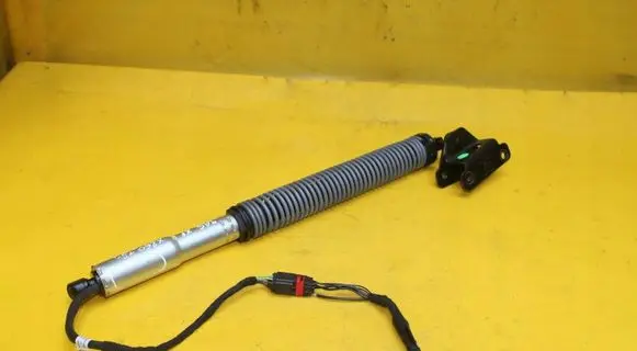 Tailgate strut