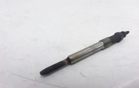 Peugeot 407 Glow plug 0250202048