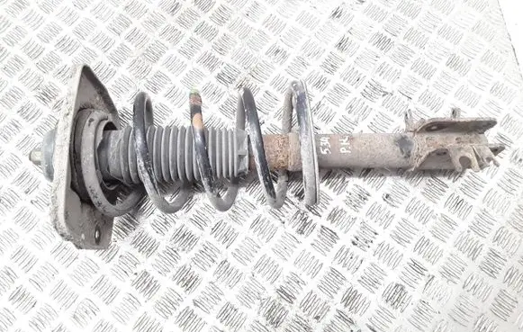 Fiat Scudo Front shock absorber with coil spring 1491968080 41765W06
