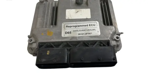 KIA Sportage Engine control unit/module 391012F567