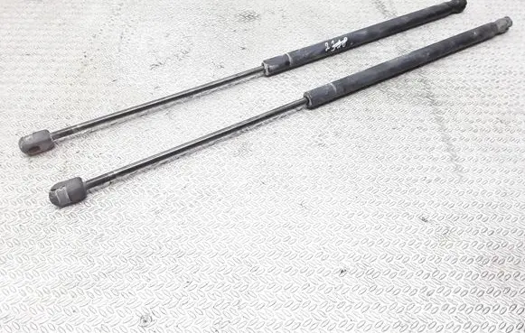 Ford Focus C-MAX Tailgate/trunk strut/damper