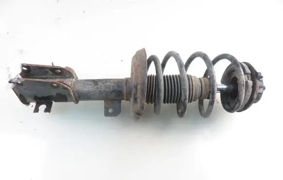 Fiat Bravo Front shock absorber with coil spring 351951070000