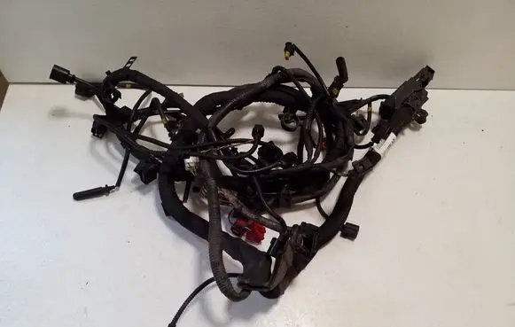 Porsche Cayenne (92A) Engine installation wiring loom 7P5971610H