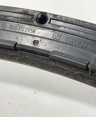 Renault Trafic III (X82) Rubber seal front coupe door 808317795R 93451822