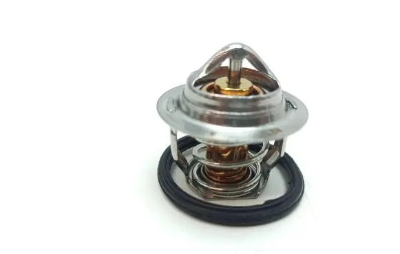 Aixam Mega Thermostat 1532173014
