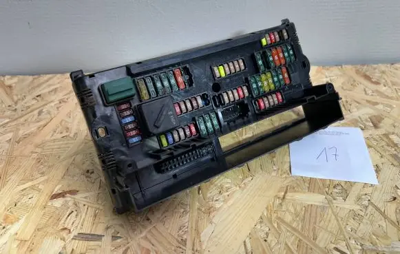 BMW 5 F10 F11 Fuse module 9234421 217003442E