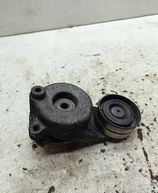 Mercedes-Benz ML W164 Alternator belt tensioner A6422001370