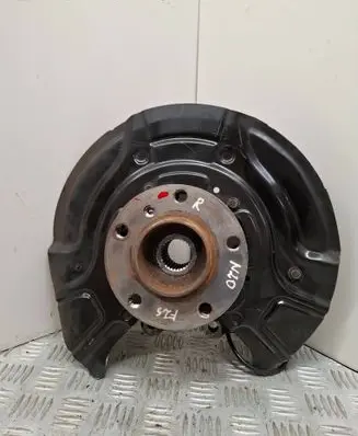 BMW X3 F25 Rear wheel hub 042t