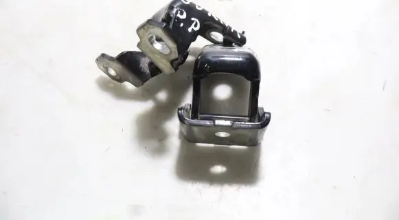 Renault Clio IV Front door hinge set 