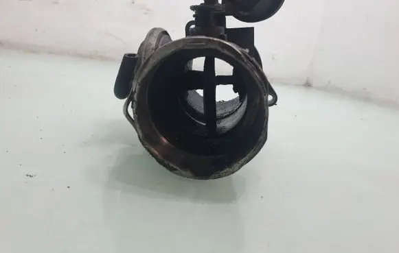 Seat Alhambra (Mk1) EGR valve 038131501AL