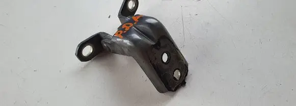 Nissan Leaf I (ZE0) Front door lower hinge 