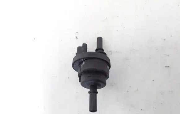 Renault Megane III Valve 2580119A