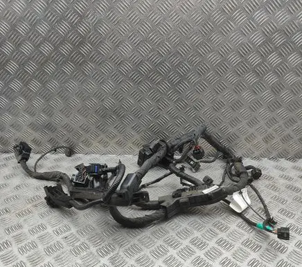 Hyundai Kona I Engine installation wiring loom 91660K4520