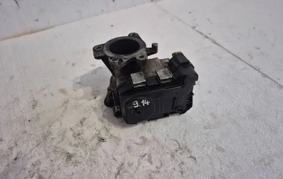 Throttle body valve