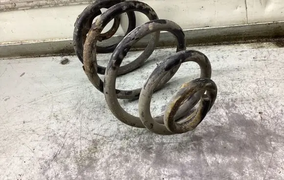 Volkswagen PASSAT B5.5 Rear coil spring