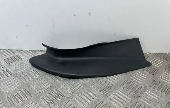 Rear/tail light trim molding