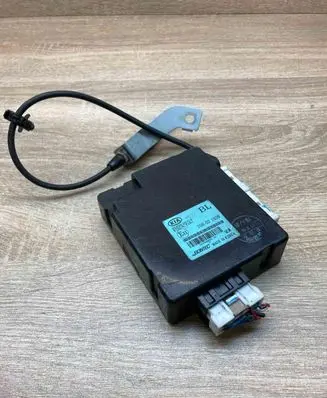 KIA Sorento Comfort/convenience module 954003E310 10R021806 WithPlug